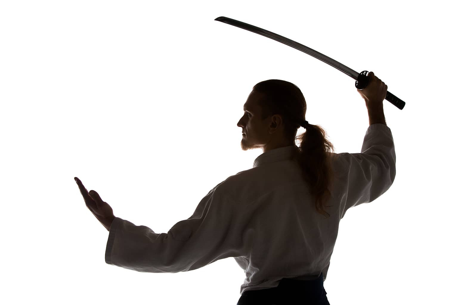 aikido et samourai